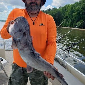 Meet your Posher, William